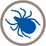 Ticks