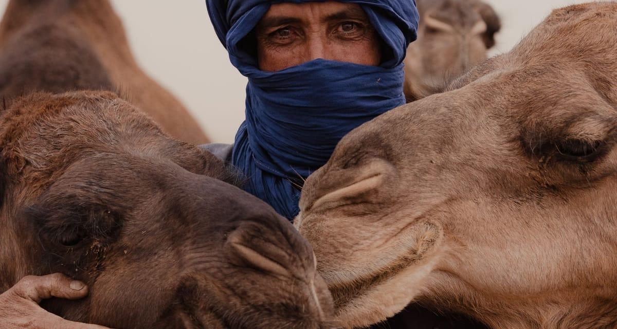 Camel Pox