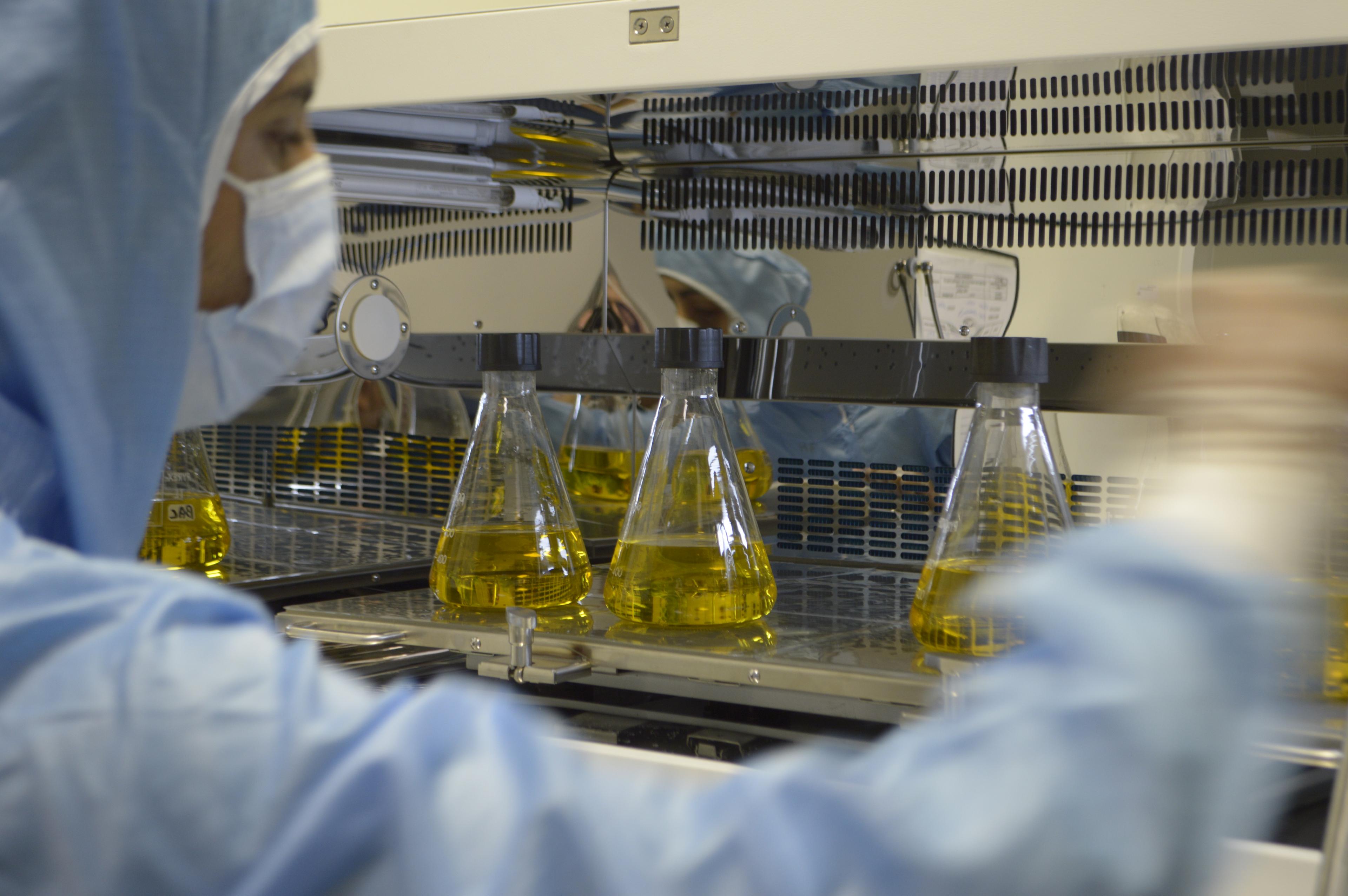 GMP FDA Certification