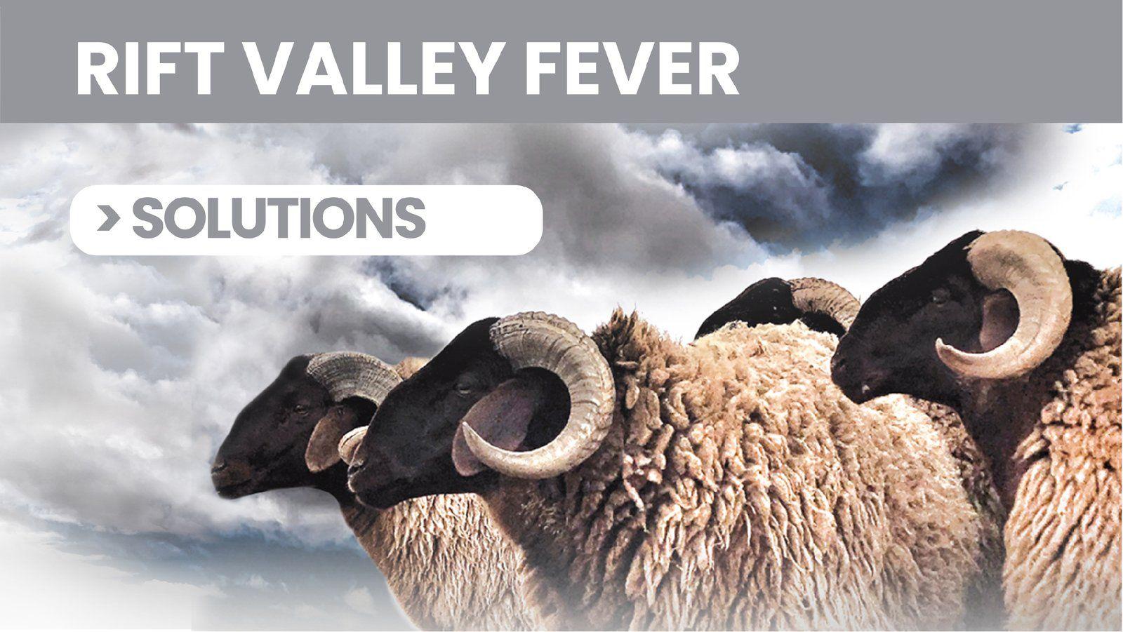 Rift Valley Fever Re-emergence in West Africa