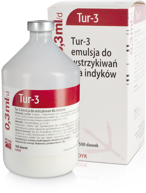 TUR 3