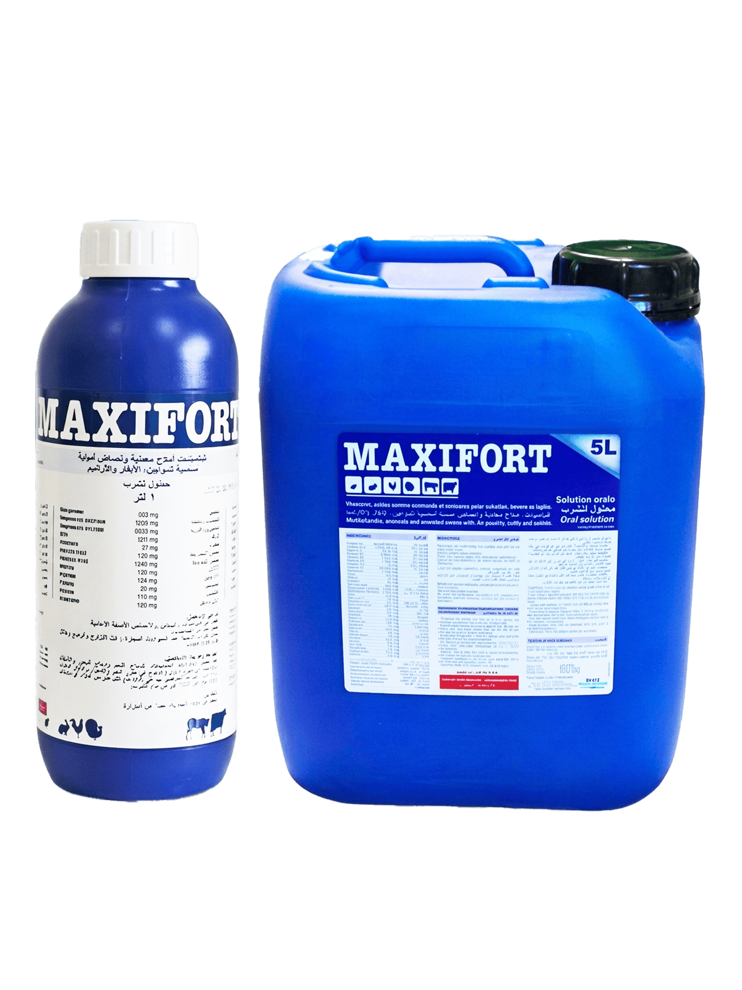 MAXIFORT