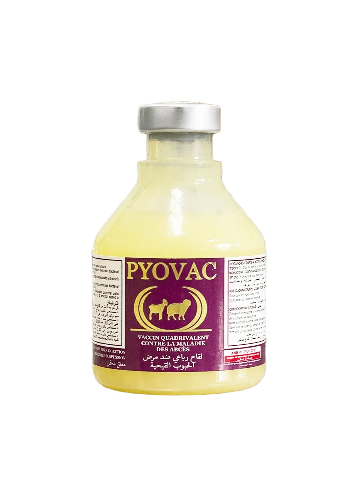 PYOVAC