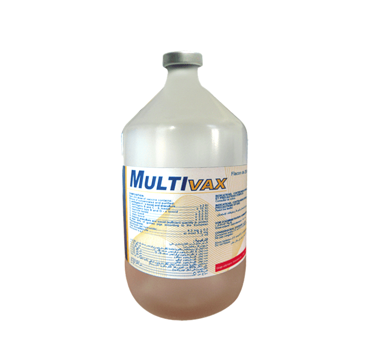 MULTIVAX