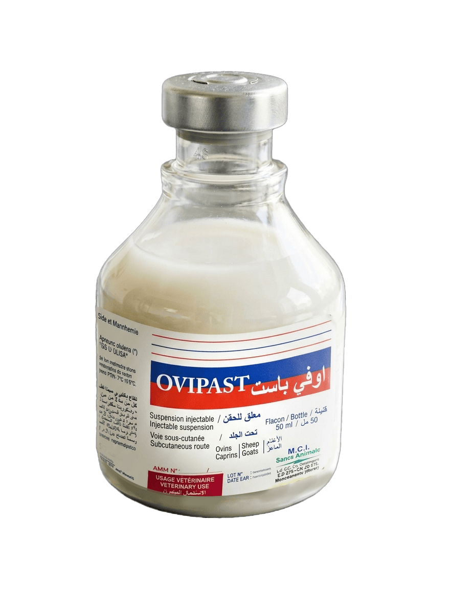 OVIPAST