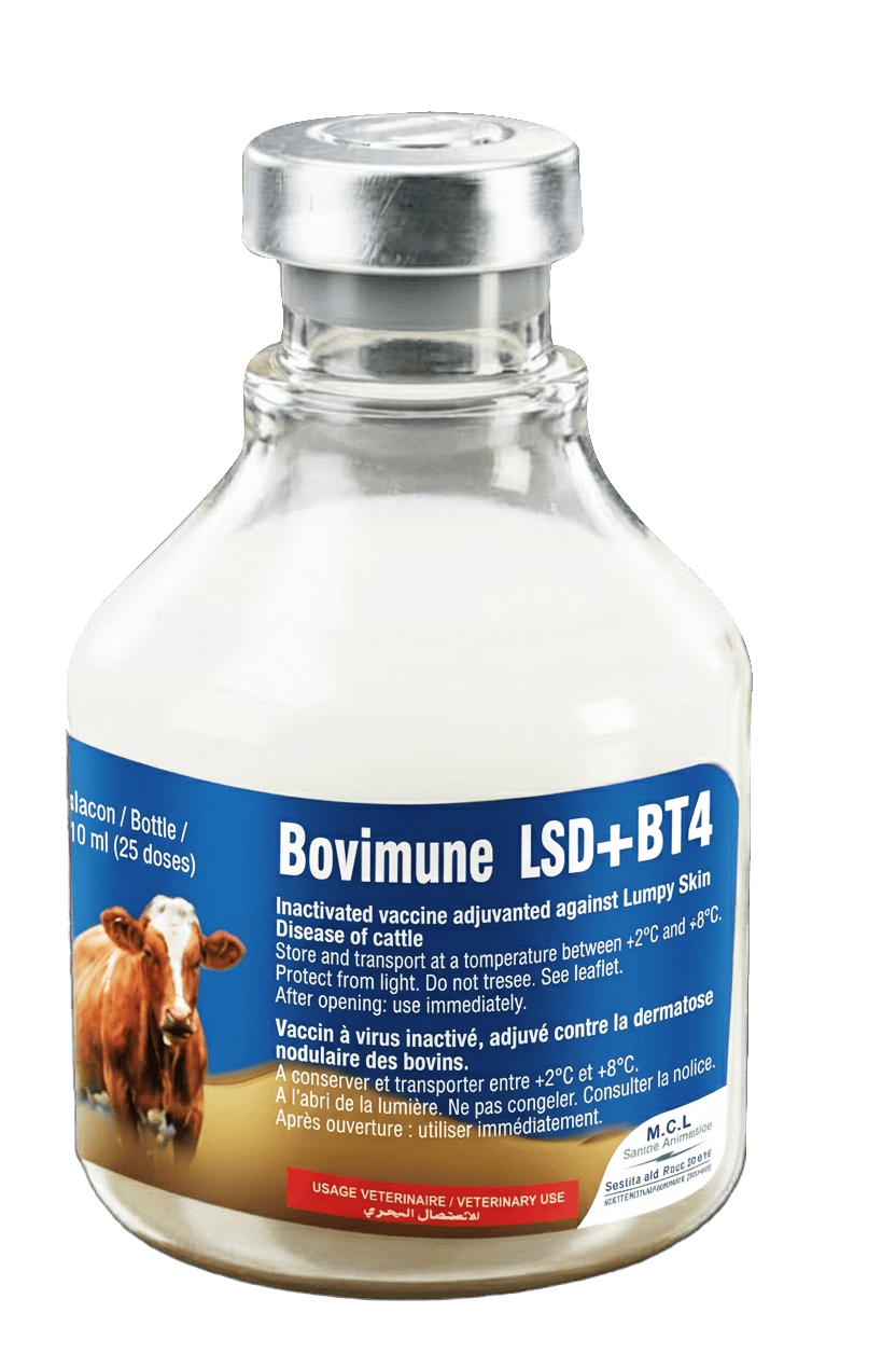 BOVIMUNE LSD + BT4