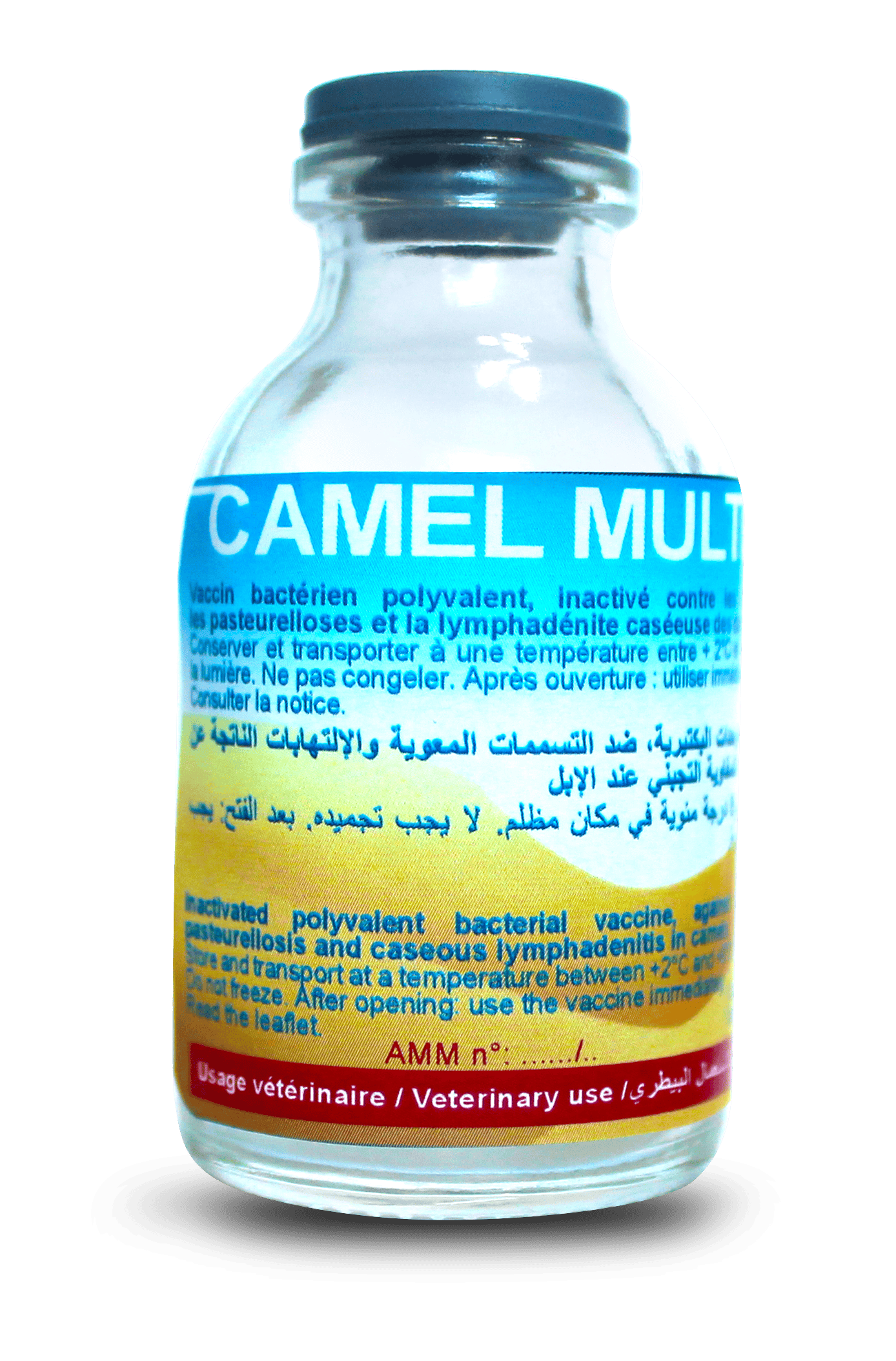 CAMEL MULTIVAX
