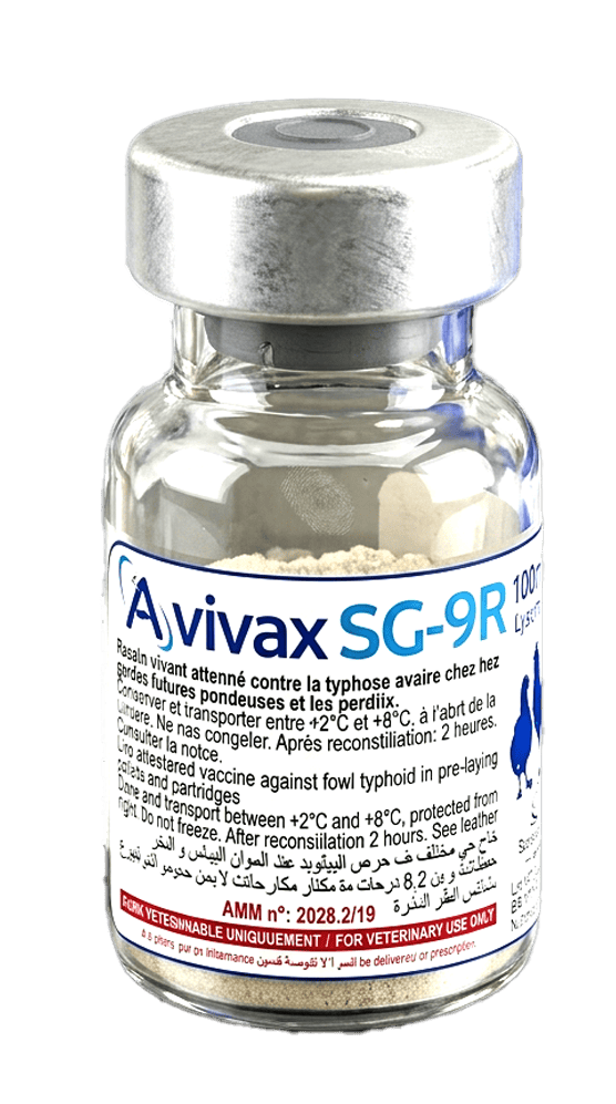 AVIVAX SG-9R