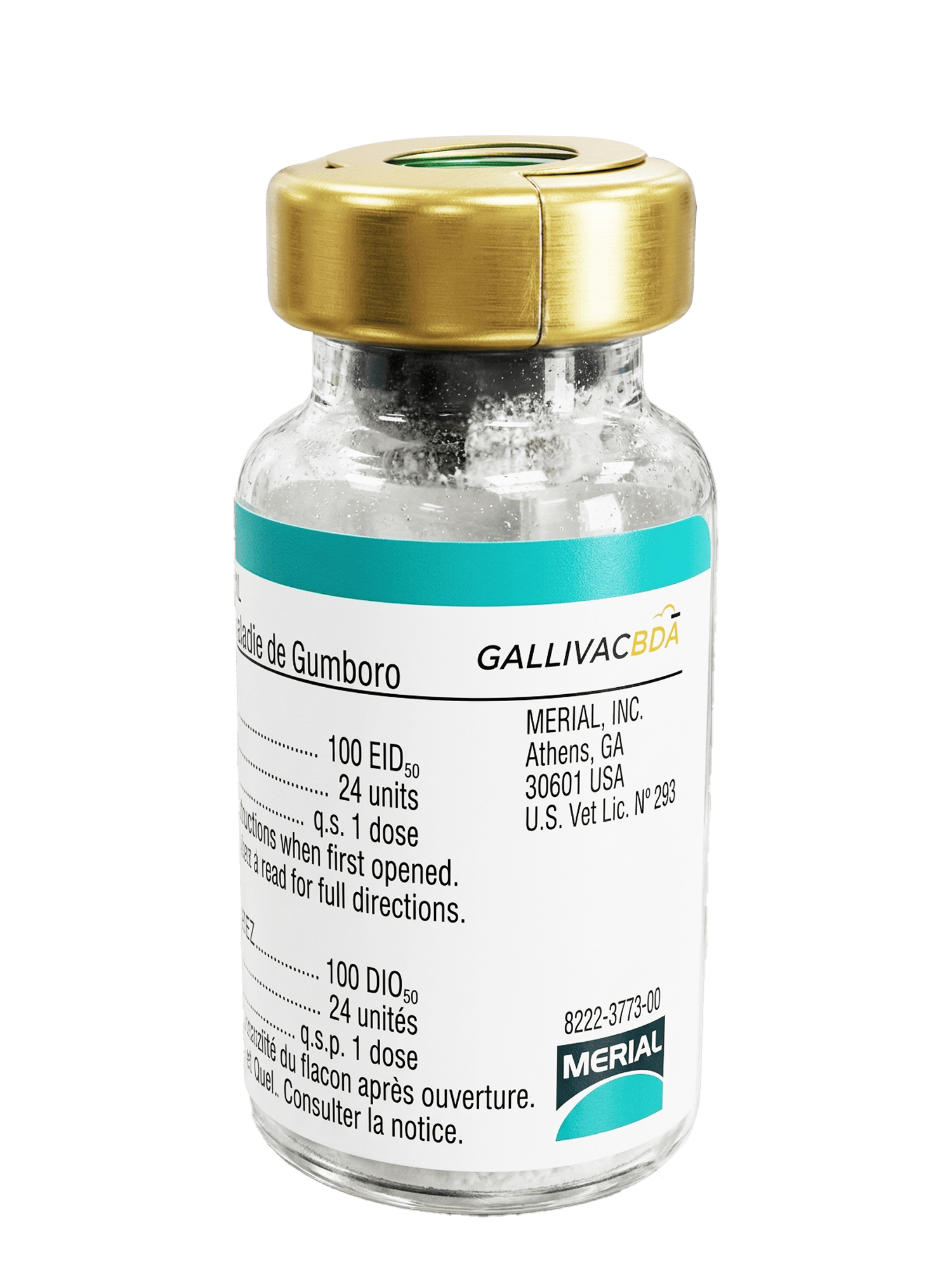 GALLIVAC BDA
