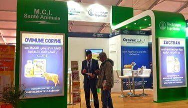 Presence at the 2nd edition of the exhibition Sardi