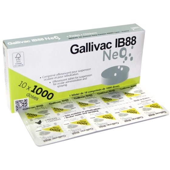 GALLIVAC IB 88 NEO - M.C.I. Santé Animale