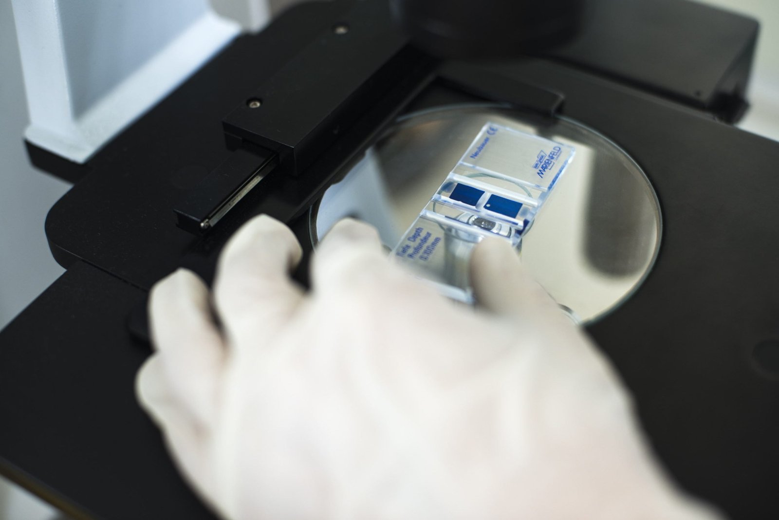 Research technician Fakri Fatima ~Zohra working in the quality control unit of the MCI Santé Animale laboratory in Mohammedia, Morocco. MCI is developing a bivalent Rift Valley Fever (RVF)/Lumpy Skin Disease (LSD) vaccine for cattle, and a trivalent Sheep and Goat Pox (SGP), Peste des Petits Ruminants (PPR), Rift Valley Fever (RVF) vaccine for sheep and goats to to establish solid herd immunity against RVF outbreaks through regular vaccination. The project is supported by the International Development Research Centre (IDRC). Mohammedia, Morocco. 26/03/2019.