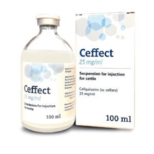 CEFFECT