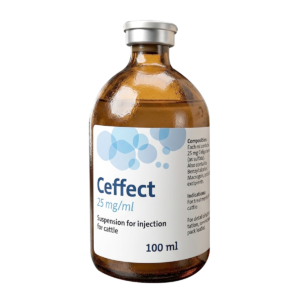 CEFFECT
