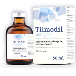 Tilmodil