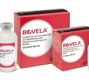 BOVELA