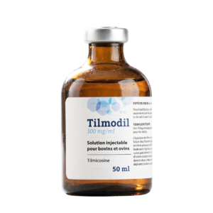 Tilmodil