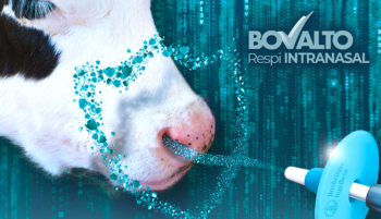 bovelto respi intra (1) (2)