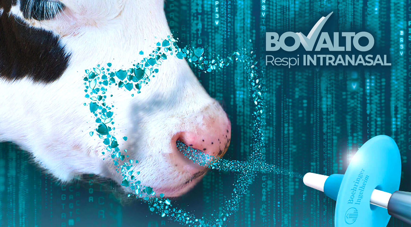 bovelto respi intra (1) (2)